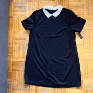 Black t-shirt styled collared dress in a 1X